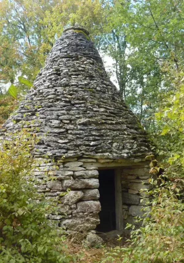 Gariotte au milieu de végétation