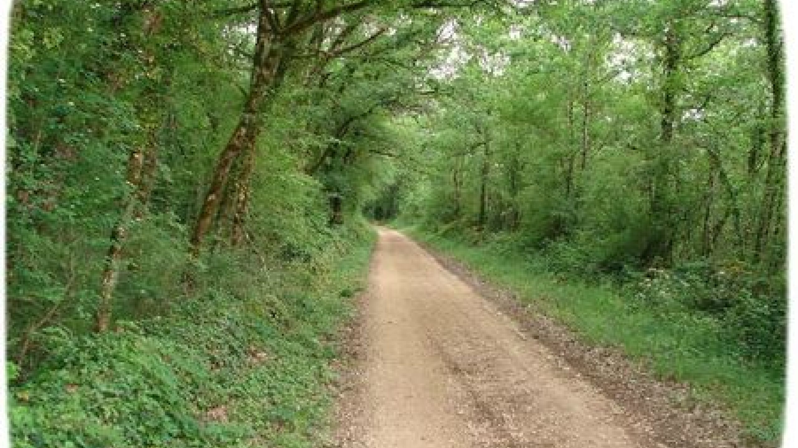 rosario city view of city near sea and harbor